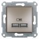 Розетка USB, 2 виходи 2.0, 5V-DC, макс 2.1A, без рамки Asfora, Бронза EPH2700271-3 - фото товару LUMEN